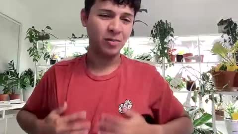 basicflxpx online show from July 11, 11:55 pm