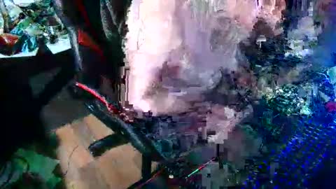 baterboy8687 online show from April 4, 8:54 am