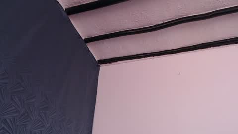 bayonette_black online show from August 13, 1:58 pm