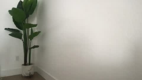 bbypiamia online show from August 14, 8:56 pm