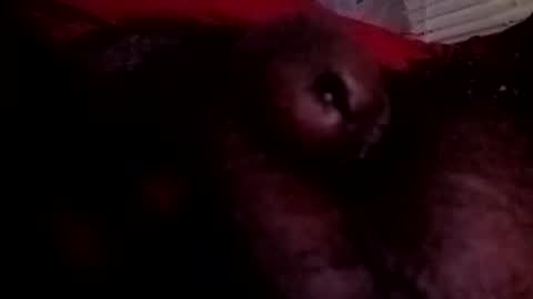 bcfalcon69 online show from June 25, 3:31 am