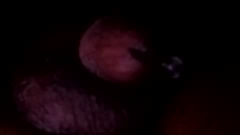 bcfalcon69 online show from June 28, 6:05 am