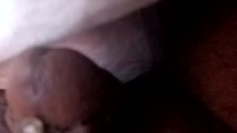 bcfalcon69 online show from July 2, 5:41 am
