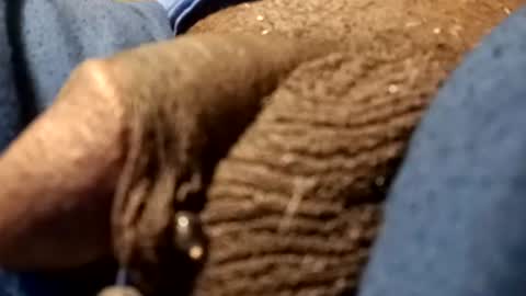 bcfalcon69 online show from August 5, 2:20 am