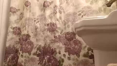 bcfalcon69 online show from August 17, 2:49 am