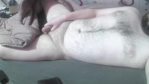 bear282667 online show from April 12, 6:58 am