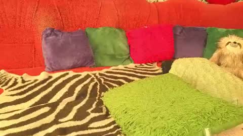 beautifulgina online show from August 13, 9:56 am