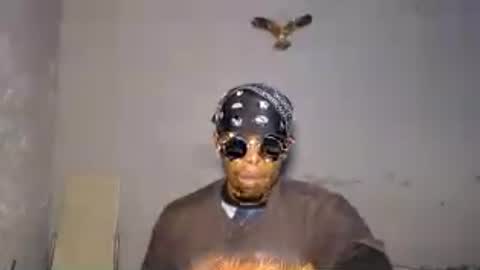 Frank online show from August 13, 6:44 pm