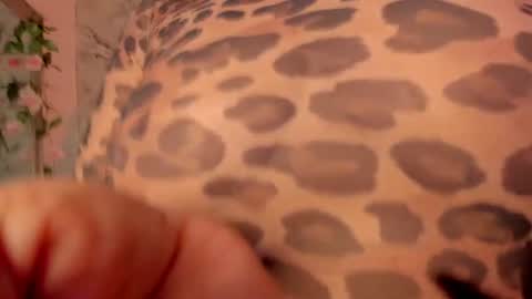 bella_desi online show from August 11, 1:02 pm