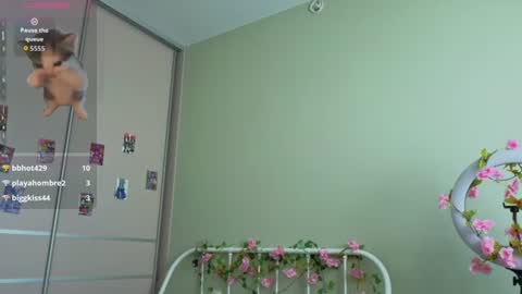 bellakvarc online show from August 15, 11:47 am