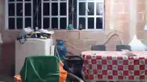 bellanocturna_ online show from July 17, 12:43 am