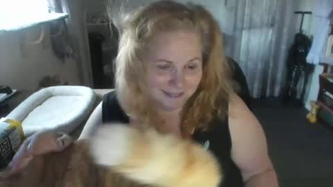 Bella Private online show from August 9, 11:22 am