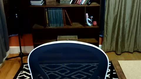 DeniseDavid online show from March 9, 2:07 am