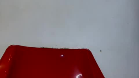 bhadgurl88 online show from August 13, 1:14 pm