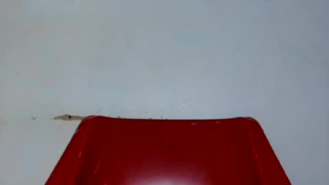 bhadgurl88 online show from August 14, 8:23 pm
