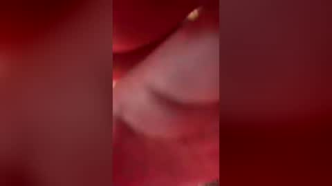 bibipussym online show from August 11, 3:58 pm