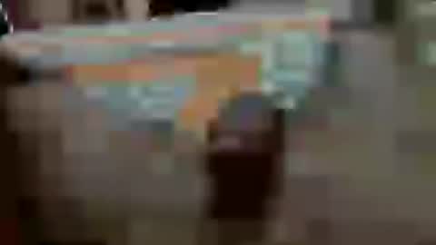 big_dick_sam_alig online show from August 7, 8:03 am