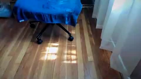 bigb00tyjudi online show from August 17, 5:29 pm