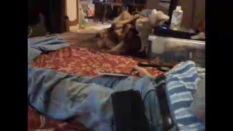 Ben online show from February 20, 3:20 pm