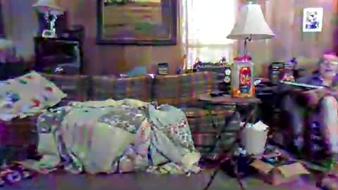 Ben online show from July 16, 2:51 pm