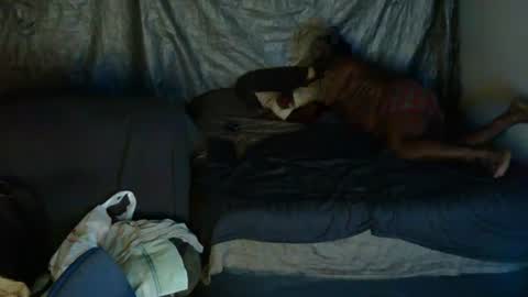 bigblack_cok online show from August 8, 4:23 am
