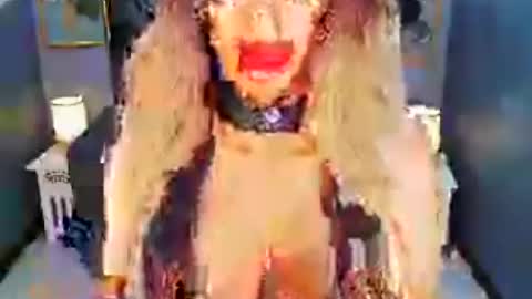 Loraine Cruz online show from July 15, 1:23 pm