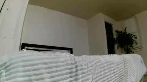 Ashley online show from August 12, 4:04 am