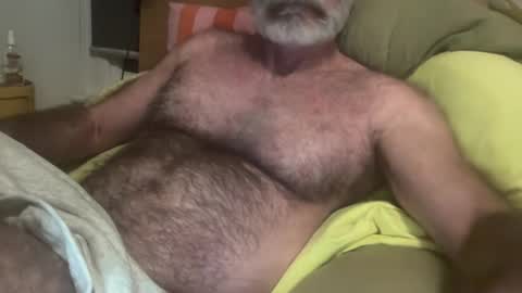 big bush online show from July 27, 8:42 am
