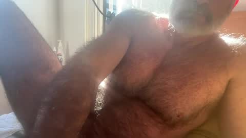 big bush online show from July 30, 2:30 am