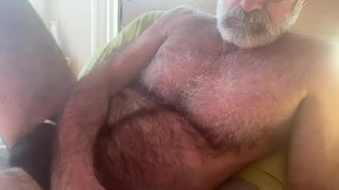 big bush online show from July 30, 3:36 am