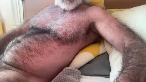 big bush online show from August 13, 4:26 am