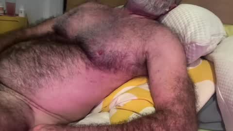 big bush online show from August 13, 7:44 am