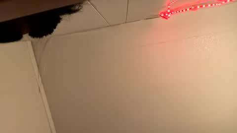 bigdickywn online show from July 12, 7:04 am