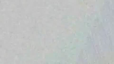 biggerbradd online show from August 7, 3:56 pm
