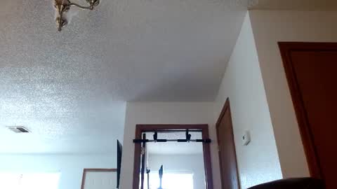 biggerbradd online show from August 14, 6:11 pm