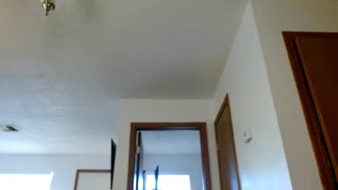 biggerbradd online show from August 16, 12:47 am