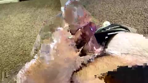 Bigheadstroker400 online show from May 30, 6:42 pm