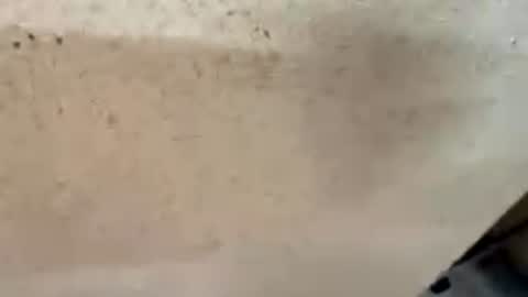 Bigheadstroker400 online show from July 12, 4:57 pm