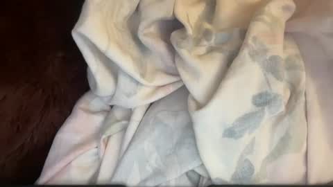 bigpickles6969 online show from July 14, 8:18 am