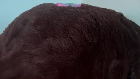 bigpickles6969 online show from July 20, 12:08 pm