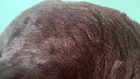 bigpickles6969 online show from July 20, 1:14 pm