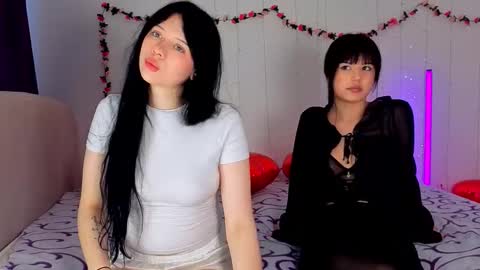 We are Luna and Layla. We are 20  Welcome to our room online show from March 21, 7:22 am