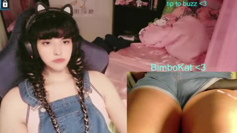 BimboCat online show from July 31, 10:15 pm