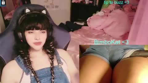 BimboCat online show from August 1, 1:11 am