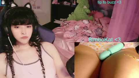 BimboCat online show from August 3, 11:34 pm