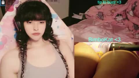 BimboCat online show from August 14, 3:48 pm