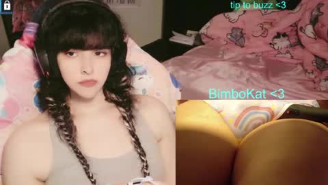 BimboCat online show from August 14, 6:55 pm