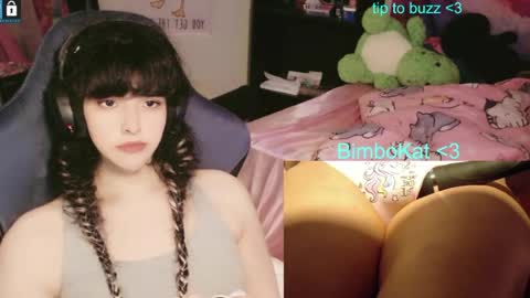 BimboCat online show from August 15, 1:15 pm