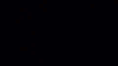 black_paanther online show from August 4, 9:39 am