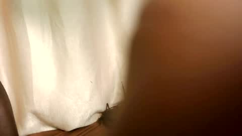 blackcoupel online show from August 10, 3:41 am
